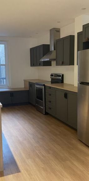 6 1/2 - Montréal (Le Plateau Mont-Royal) - 2 975 $/mois - Photo 1