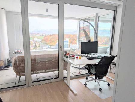 3-ROOM APARTMENT IN OSTERMUNDIGEN (BE), FURNISHED, TEMPORARY - Photo 2