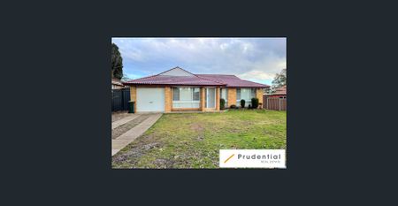 LARGE FAMILY HOME IN SELECTIVE SCHOOL ZONE - Photo 2