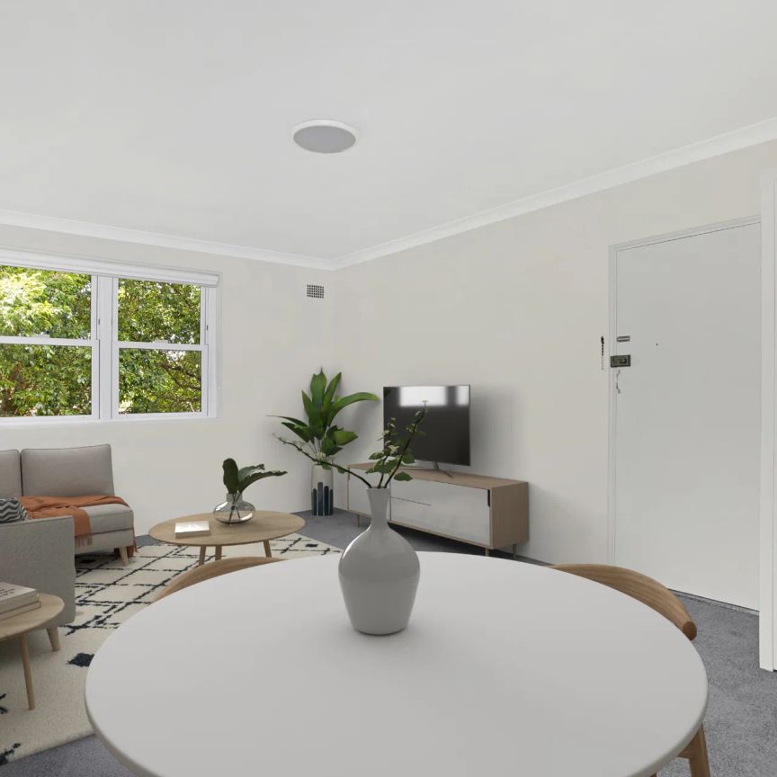 Another Successful Result By David Ibanez - Photo 1