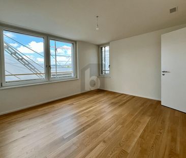 FIRST-USE: LARGE BALCONY, VIEW OF THE ÜETLIBERG - Photo 5