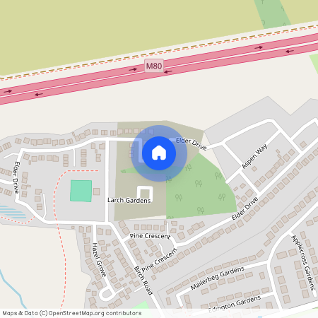 Elder Drive, Moodiesburn