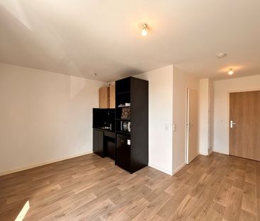 Location Appartement 1 pièce 22m² PALAISEAU 91120 - Photo 4