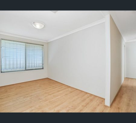 20 Upham Brace, Butler, WA 6036 - Photo 3