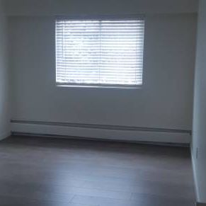 2 Bedroom Apt Commercial Dr - Photo 2