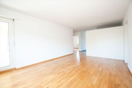 Central location near the Solothurn train station - Photo 3