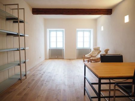 Wohnatelier in Ottensheim Zentrum, direkt an der Donaupromenade! 82 m² WNFL, Küche inkl. Geräte möbliert! Inkl. Terrasse vorm Haus! - Foto 4