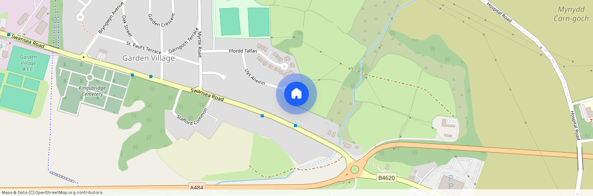 Cwrt Y Brenin, Swansea Road, Swansea