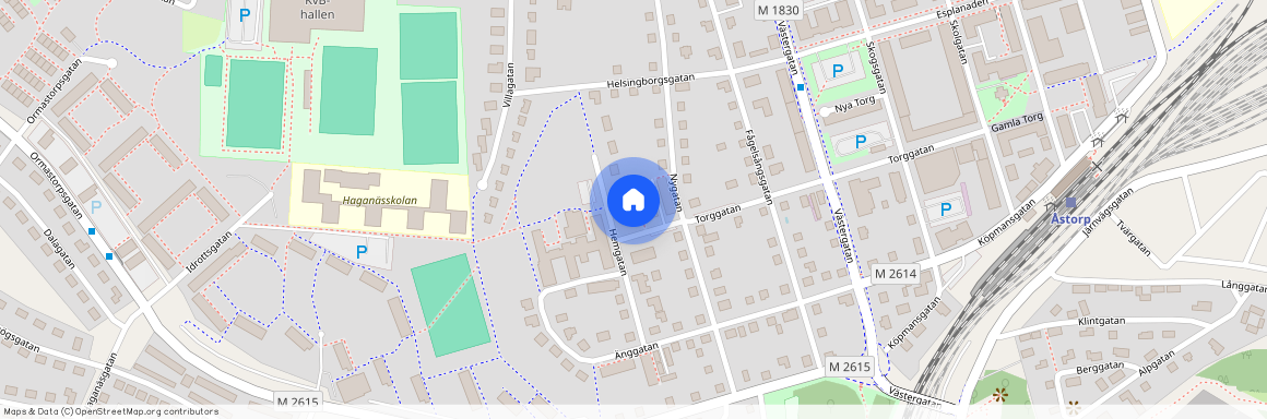 Torggatan 22A, Gamla Skolan