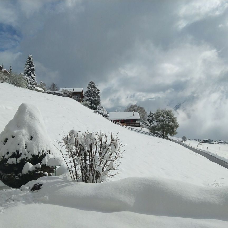 Cosy 4.5 pièces meublé. Location à l'année - Photo 1