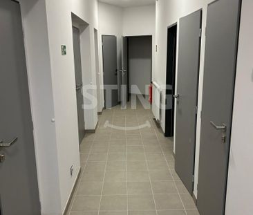 Byt 3+kk k pronájmu, Pardubice / Bílé Předměstí, ulice Husova - Photo 2