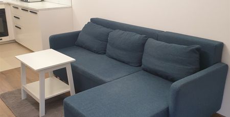 Kraków, Dębniki, Kliny Mieszkanie na wynajem - Photo 3