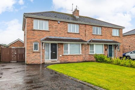 25 Beechgrove Park, Aghagallon, BT67 0BQ - Photo 3