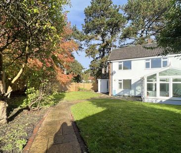 School Cottages, Woking - 3 bedrooms Property for lettings - Seymours - Photo 1