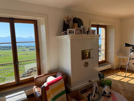 Joli appartement au coeur des vignes - Photo 1