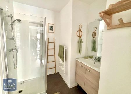 Appartement à louer 1 pièce 26.03m² - Photo 4