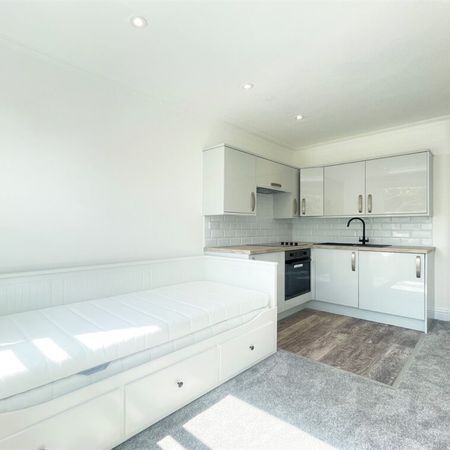 Flat Elms Crescent, Clapham, SW4 - Photo 4