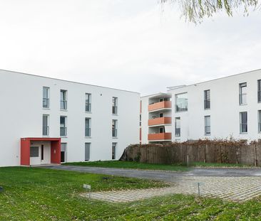 Schöne 2-Zi-Wohnung mit Garten in Lustenau zu vermieten! - Photo 3