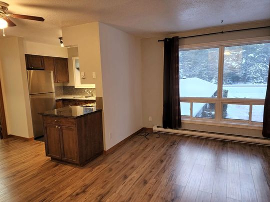 For Lease - 25844 Highway 35 Highway Unit# 5, Lake of Bays, Ontario - Photo 1