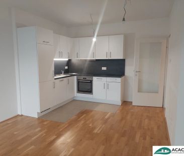 3 Zimmer Gartenwohnung - Wohnpark Tullnerfeld - im Grünen wohnen, a... - Foto 1