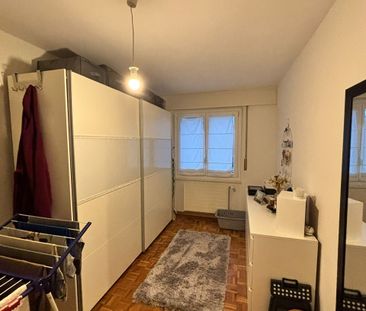 Saules 1, Colombier - Photo 4