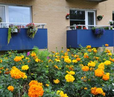 Modulatorsgatan 2 - Photo 1