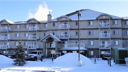 2 Bed Spacious Condo For Rent In Spruce Grove. Two Parking Stalls. - Photo 2