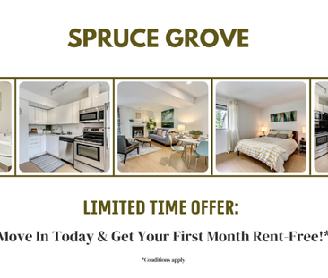 Spruce Grove Lane - Photo 6