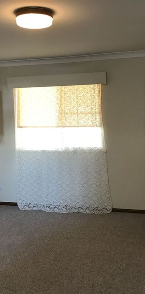 Well presented one bedroom unit walking distance to Southgate Shopping Centre - Photo 1