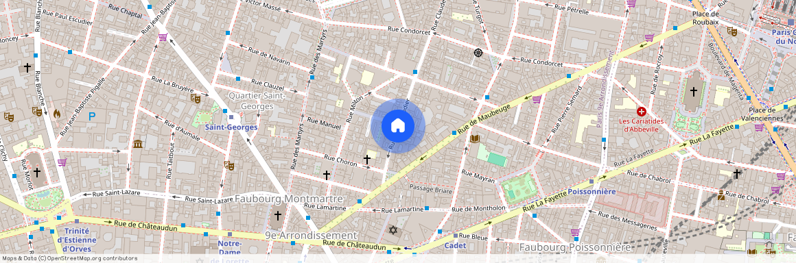 16 Rue Rodier, 75009 Paris 09