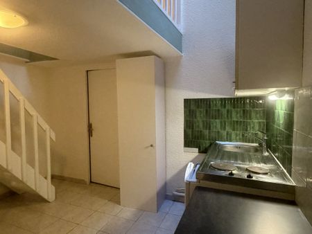 Location Appartement 1 pièce 23m² CHAMBERY 73000 - Photo 3