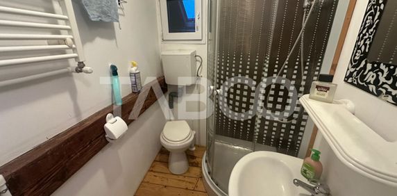 Studio pretabil studenti de inchiriat Ultracentral Sibiu - Fotografie 2