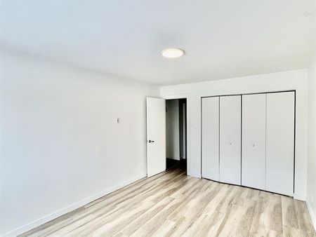 50 Rue Crépeau - Photo 2