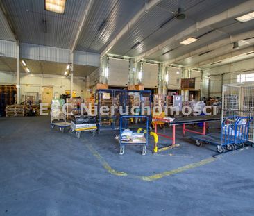 Piła, Zamość - Фото 1