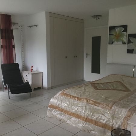 Furnished 1.5-room apartment, 8105 Regensdorf, Zurich, long-term stay - Photo 4