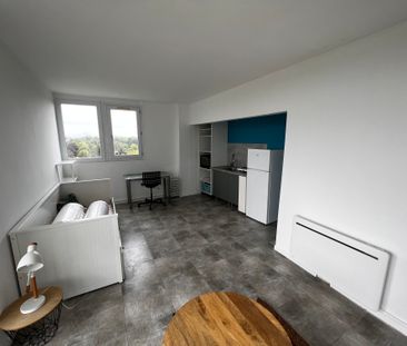 Location Appartement 1 pièce 31m² - Photo 3