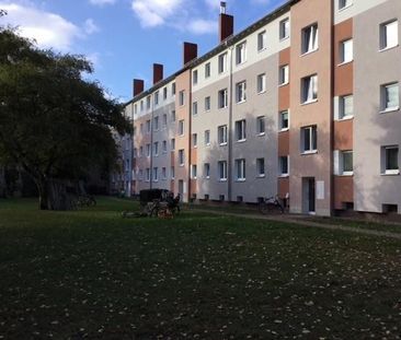 Endlich Zuhause: 3-Zimmer-Wohnung Nähe Klinikum und Universität - Photo 5