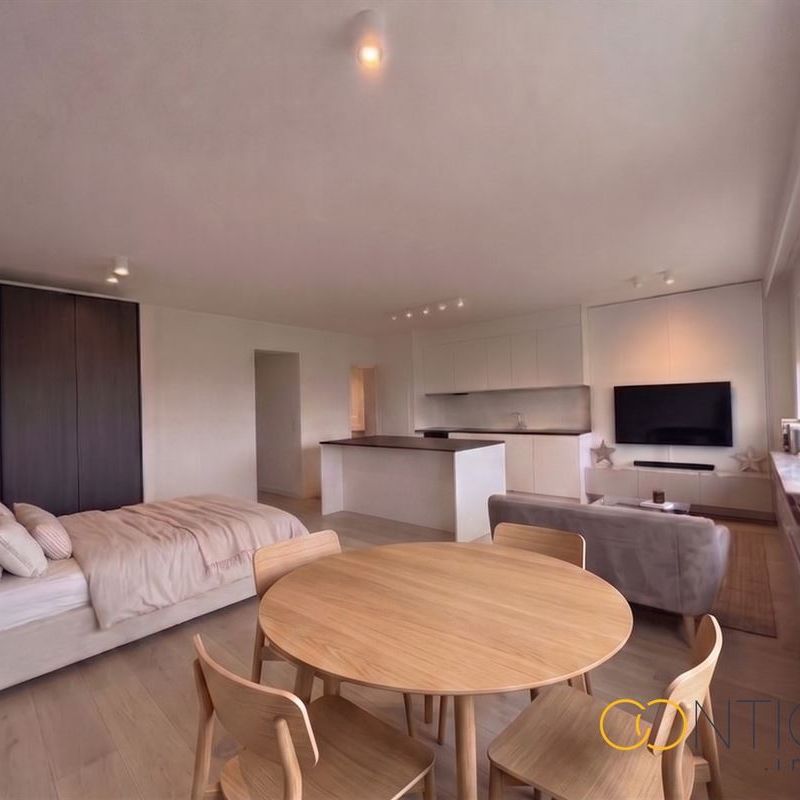 1ère occupation lumineux studio à Woluwe-Saint-Pierre - Photo 1