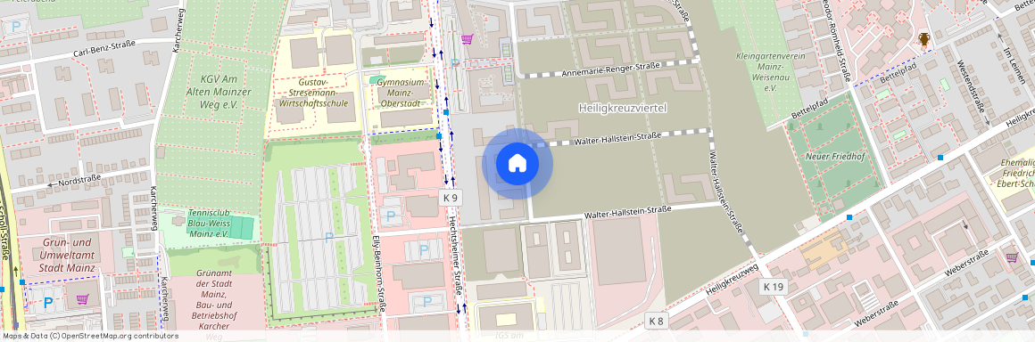 Walter-Hallstein-Straße 16c, 55130, Mainz