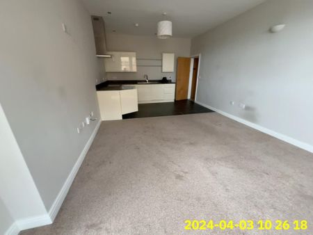 1 bedroom flat to rent - Photo 2