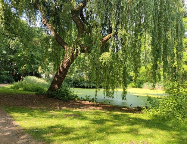 3 Zimmerwohnung zur Untermiete - Foto 1