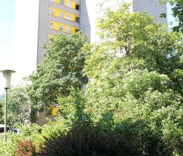 3-Zimmer-Wohnung in Kreuztal mieten - Foto 1