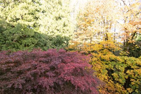 306-5454 198 St, Langley - Photo 4