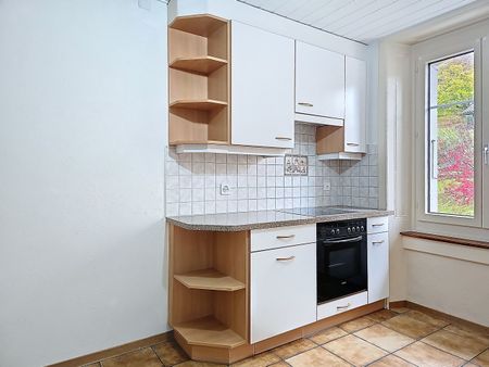 Large garden - Photo 3