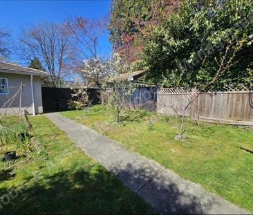 7XXX Nelson Avenue DOWN Burnaby - Photo 4