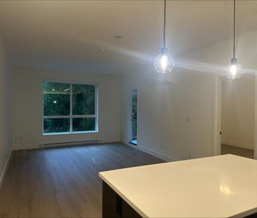 Brand New King & Crescent! Facing Private Green Space! 2 bedroom/2 ... - Photo 1