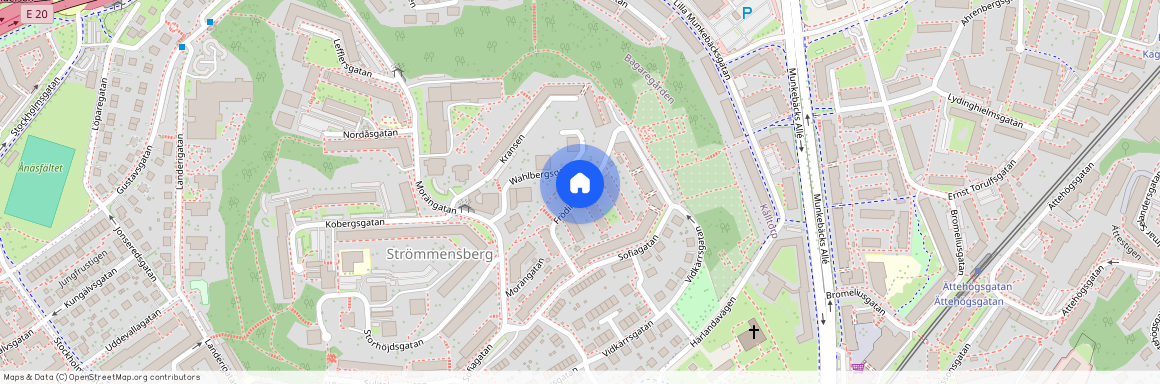 Frödingsgatan, Göteborg