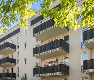 Familien aufgepasst! Moderne 4-Zimmer Wohnung - Photo 5