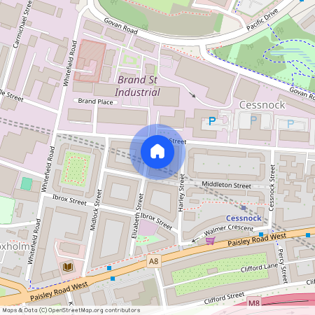 Elizabeth Street, Ibrox