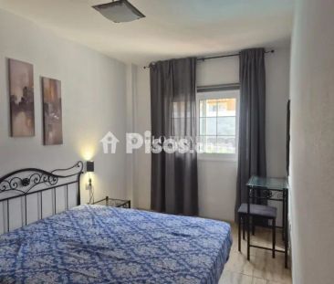 Piso en alquiler en Calle Jilguero - Photo 4